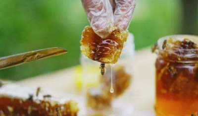 ​蜂蜜没有营养,蜂蜜究竟有没有营养价值