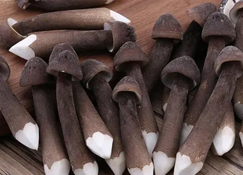 鸡纵是什么味道的,云南哪里有种植鸡枞的图5