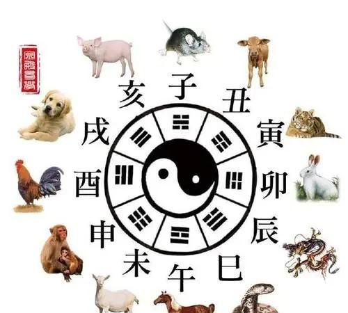 书香世家打一生肖,书香世家破成语:是十二生肖哪个动物图4