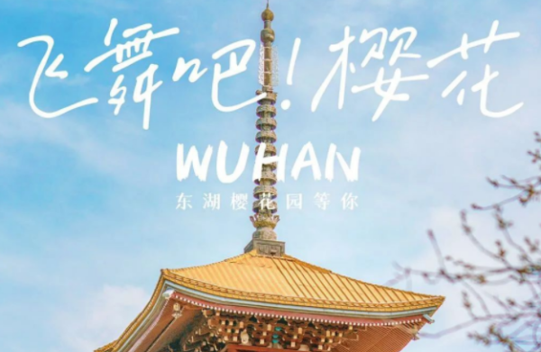 武汉樱花什么时候开,武汉樱花什么时候开图2