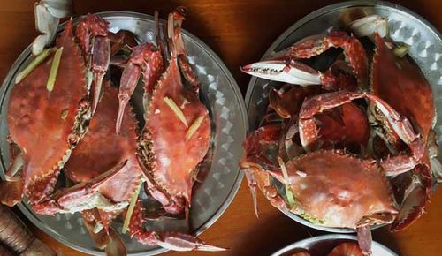超市加工好的梭子蟹放在冰箱冷藏室三天还能蒸熟后食用吗