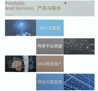 ​四川网络营销推广seo（四川若出其中科技有限公司）