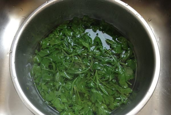 艾草的用法,路边的艾草图6