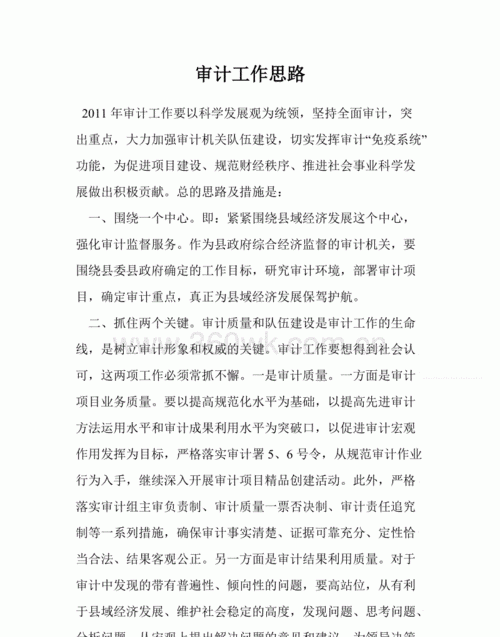 审计做什么