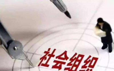 ​社会组织一般来说有哪些,社会组织包括哪些