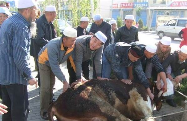 回民吃汉堡嘛