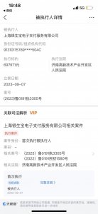 ​银生宝再成被执行人，支付牌照续展审查或再添变数