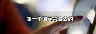 ​世界上第一个国际禁毒公约，世界上第一个国际禁毒公约是什么我国禁毒工作的治