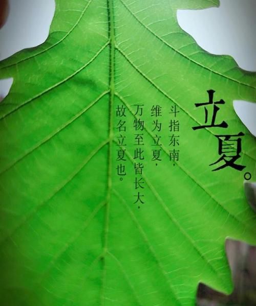 关于立夏的古诗二年级的