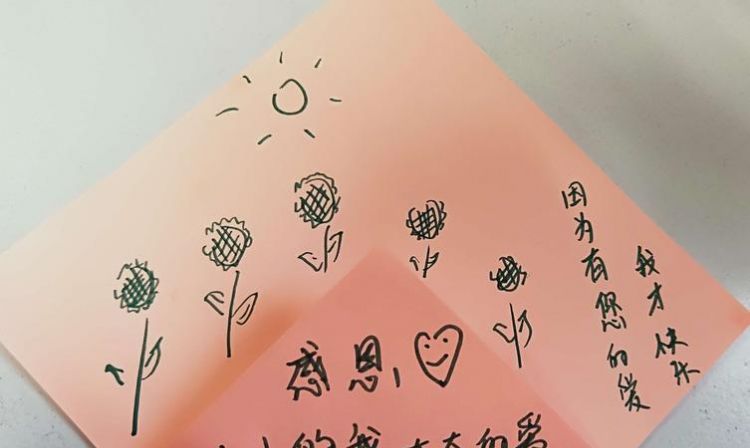 感恩节小礼物