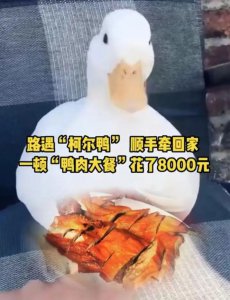 ​一顿“鸭肉大餐”花了 8000 元？一男子后悔不已