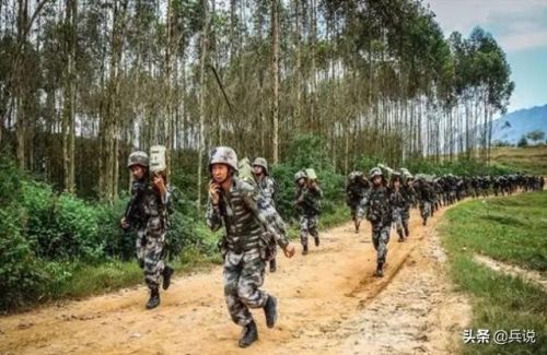 上甘岭战役纪录片上下集(上甘岭战役纪录片全集)-第1张图片-