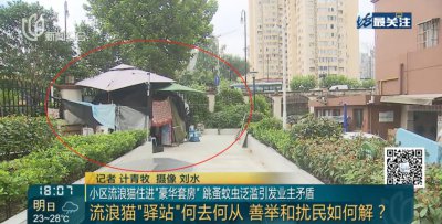 ​为了这套“复式豪宅” , 上海老太每个月花掉一大半退休金！有人吐槽 , 也有人支