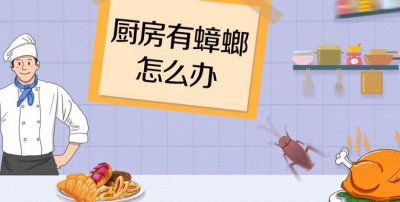 ​怎么治蟑螂 生活小妙招,蟑螂怎么消灭最彻底小妙招有哪些