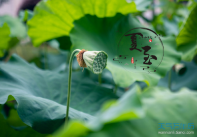​小暑节气的特点和风俗(夏至节气的特点和风俗以及他的日期)