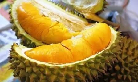 榴莲怎么挑选，怎样的榴莲才算好，如何挑选榴莲？图7