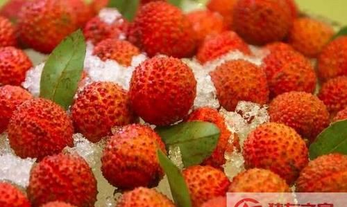 国内飞机可以带水果上飞机吗