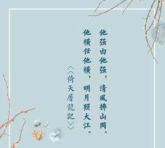 ​他横由他横 明月照大江什么意思,他强任他强,明月照大江什么意思