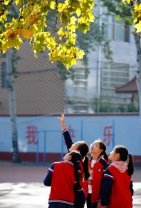 ​初中数学评课稿精选(初中数学评课稿模板一等奖)