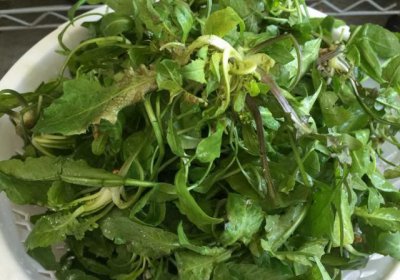 ​咬春吃哪种蔬菜，春天可以吃哪些野菜，有哪些注意事项呢？