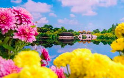 重阳节有什么风俗 传统,今天是重阳节重阳节有哪些风俗习惯图6