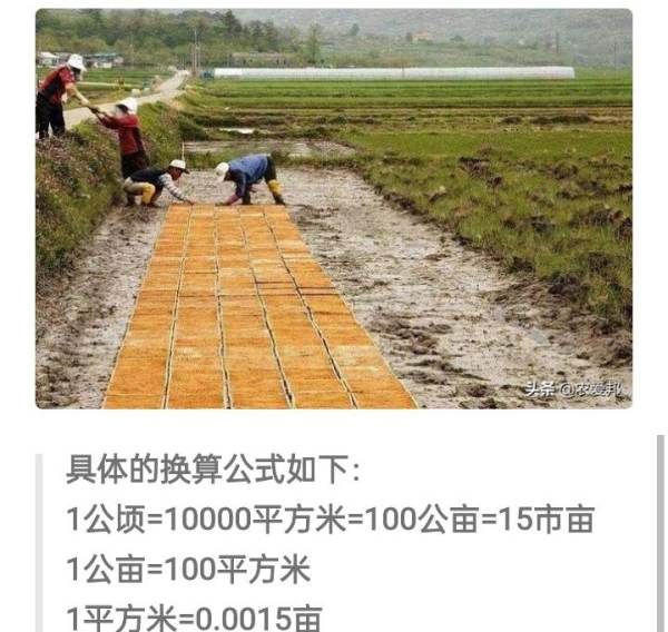 一亩等于多少平方,一亩是多少平方米图4