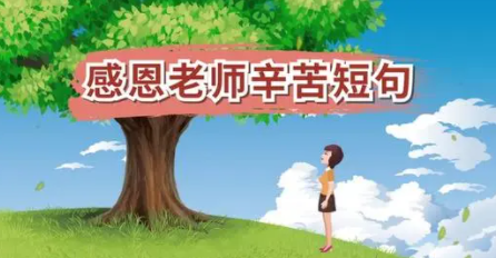 老师辛勤付出的短句,感谢老师的辛勤付出的感人句子图6
