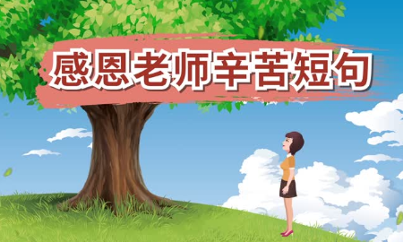 老师辛勤付出的短句,感谢老师的辛勤付出的感人句子图4