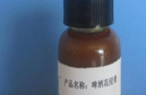 啤酒浸膏是什么,啤酒浸膏是什么东西啊图2