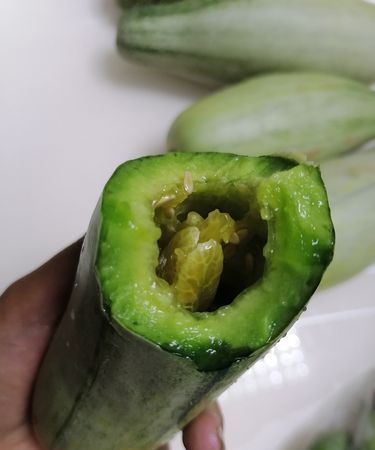 羊角蜜的籽可以吃,羊角蜜里面的籽儿能吃吗
