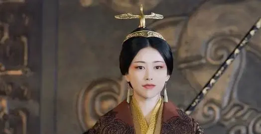芈华历史人物简介,芈华是谁的女图5