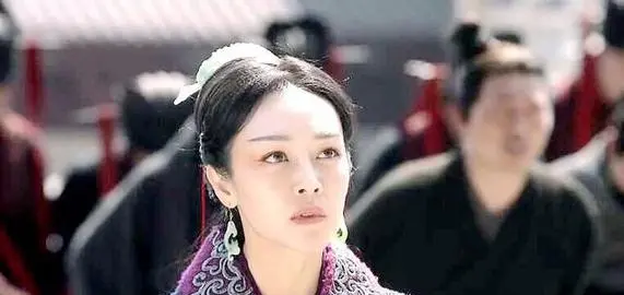 芈华历史人物简介,芈华是谁的女图3