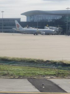 ​沈阳桃仙机场飞机起飞情况查询（沈阳桃仙国际机场航班恢复起降）