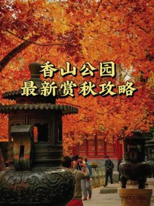 ​北京香山是著名的红叶观赏景区（香山红叶美不胜收）