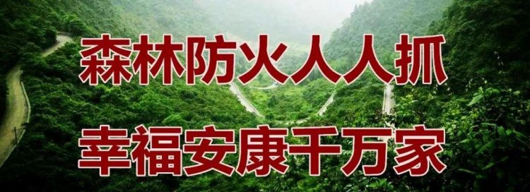 每年森林防火期是什么时候
