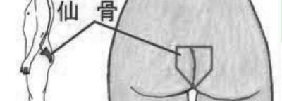 ​仙骨是什么位置,仙骨是什么位置图