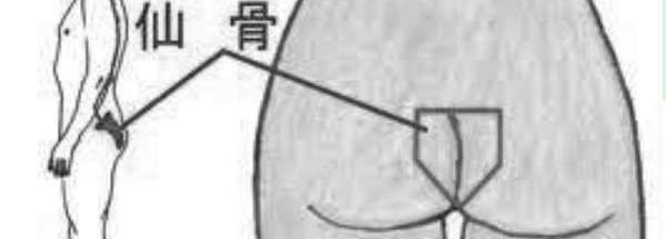 仙骨是什么位置,仙骨是什么位置图图1