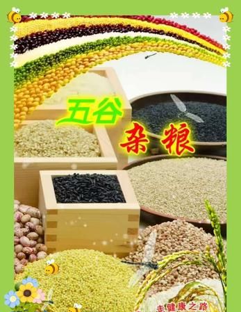 五谷中的菽是指