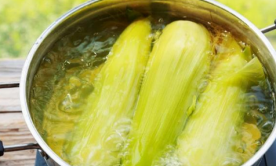 ​冰箱里的冻玉米怎么煮,被冻过的玉米怎么煮