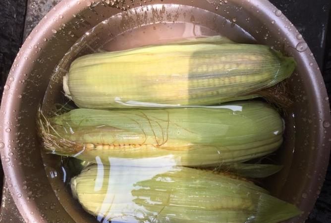 冻玉米可以煮来吃吗