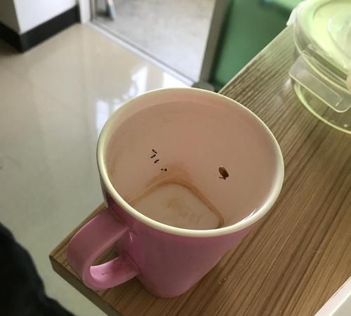 不小心喝了泡蟑螂的水怎么办