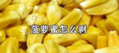 ​菠萝菠萝蜜怎么剥开,请问菠萝蜜怎么剥开