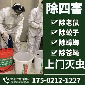 河南专业灭老鼠公司（郑州专业灭鼠公司郑州专业消杀公司）