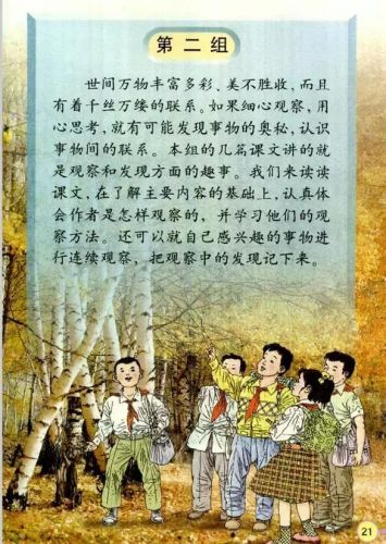 柔弱的近义词是什么词？柔弱的近义词有哪些-第1张图片-