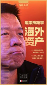 ​追索贾跃亭海外资产