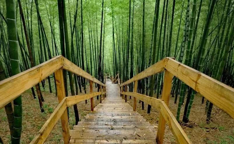 宁波冷门好玩的景点有哪些(宁波旅游十大冷门景点推荐)