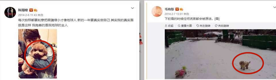 毛晓彤的成长史，她的逆袭堪比爽文女主角