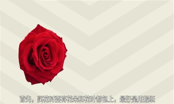 玫瑰花茶怎样保存，玫瑰花干了不舍得扔，怎么保存？图3
