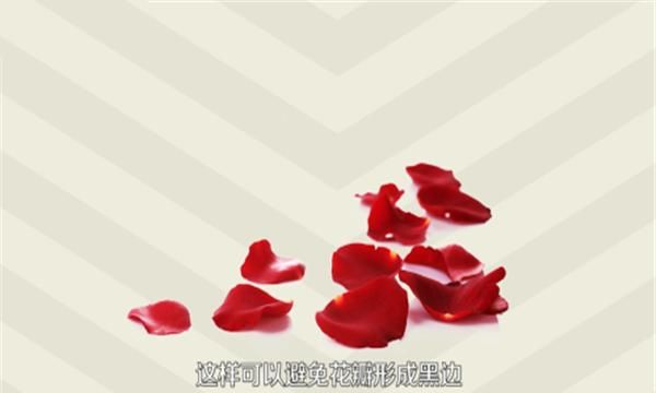 玫瑰花茶怎样保存，玫瑰花干了不舍得扔，怎么保存？图5