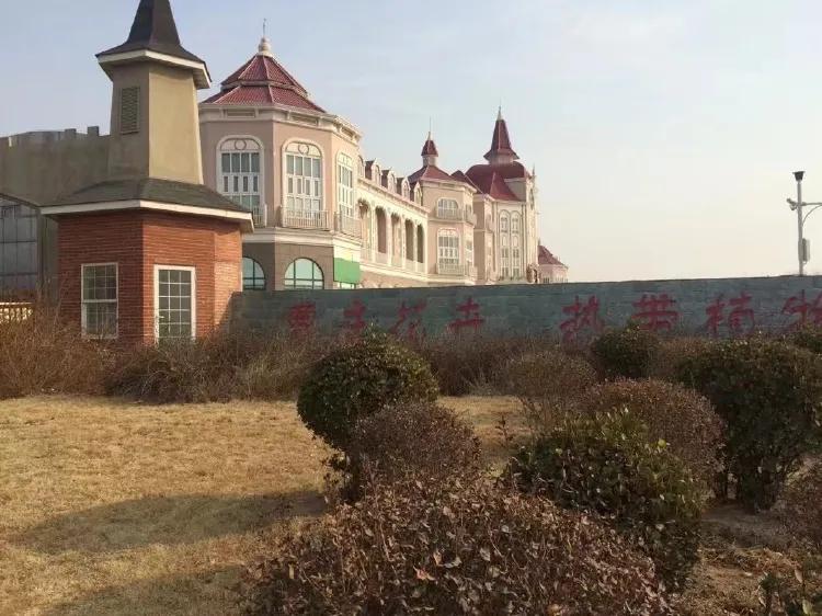 西青区属于哪个省哪个市(西青区是哪个省的城市)
